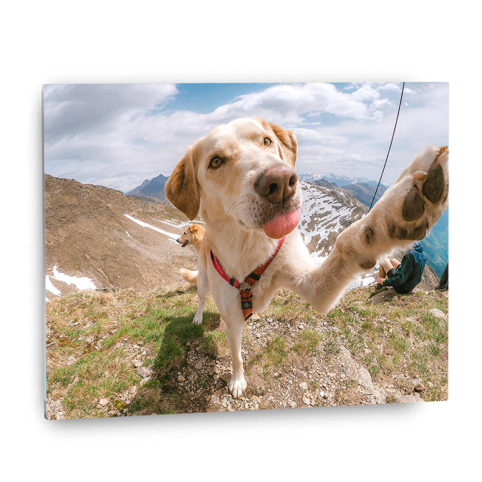 Metal Photo Prints Wall Art